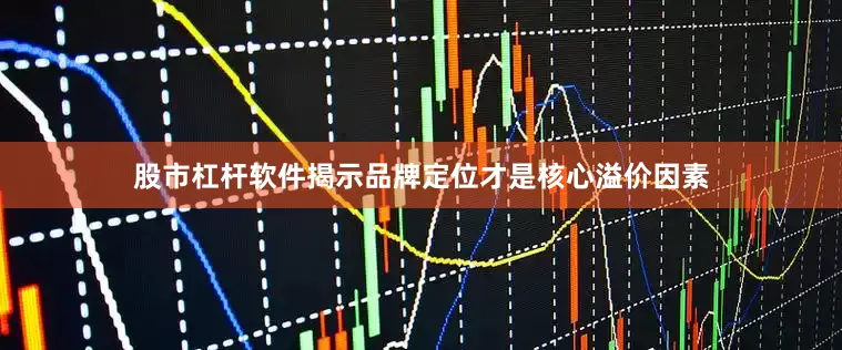 股市杠杆软件揭示品牌定位才是核心溢价因素