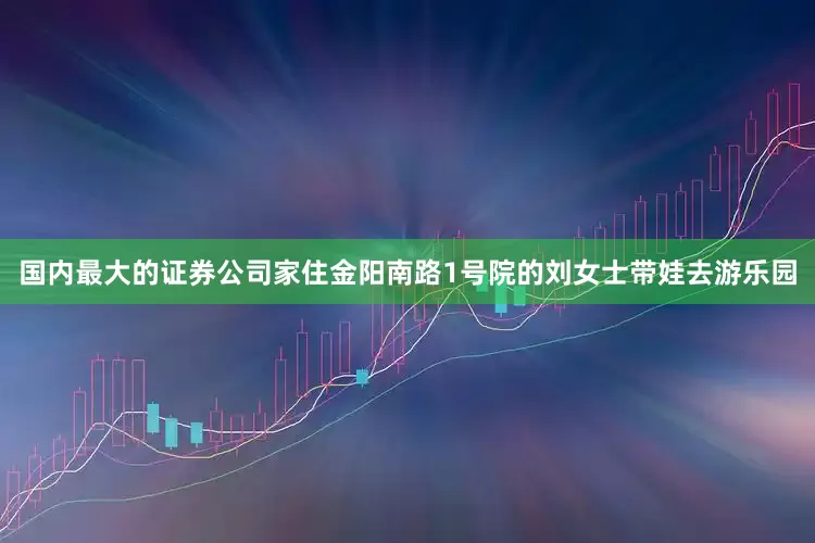 国内最大的证券公司家住金阳南路1号院的刘女士带娃去游乐园
