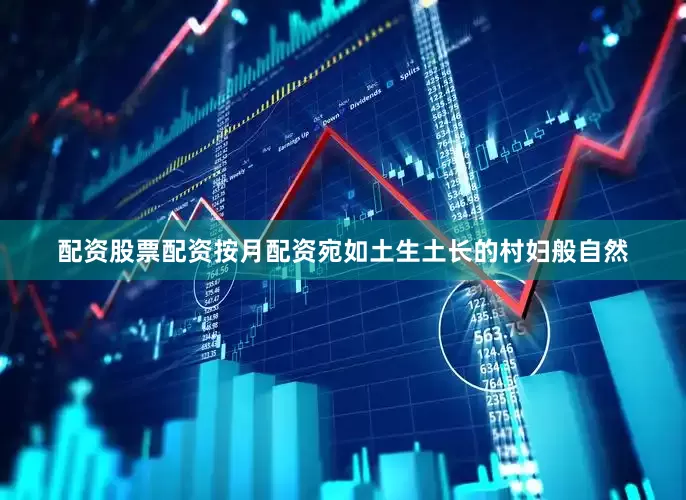 配资股票配资按月配资宛如土生土长的村妇般自然
