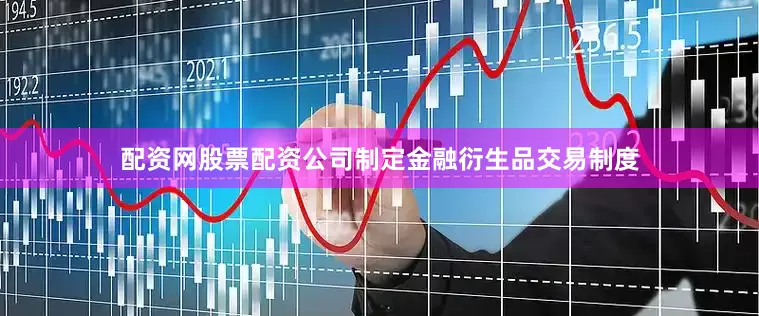 配资网股票配资公司制定金融衍生品交易制度