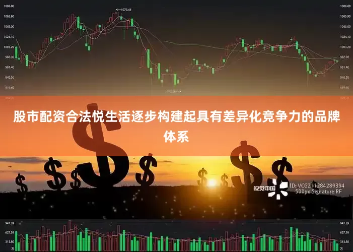 股市配资合法悦生活逐步构建起具有差异化竞争力的品牌体系